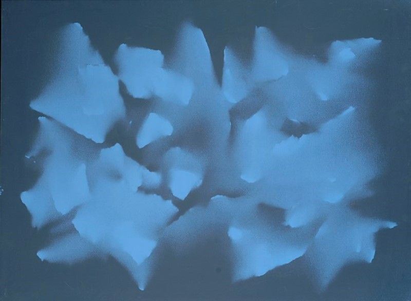 Filippo Scroppo - Dal Cosmo