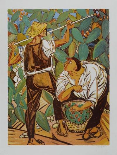 La Raccolta dei Fichi D'india
