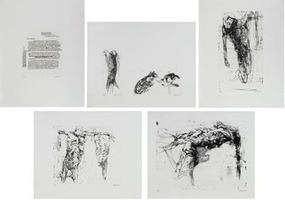 Anatomie