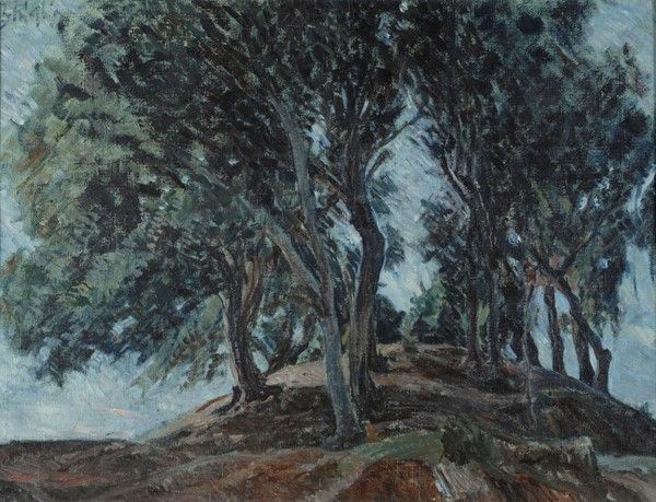 Paulo Ghiglia - Alberi