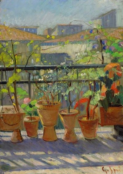 Balcone Fiorito