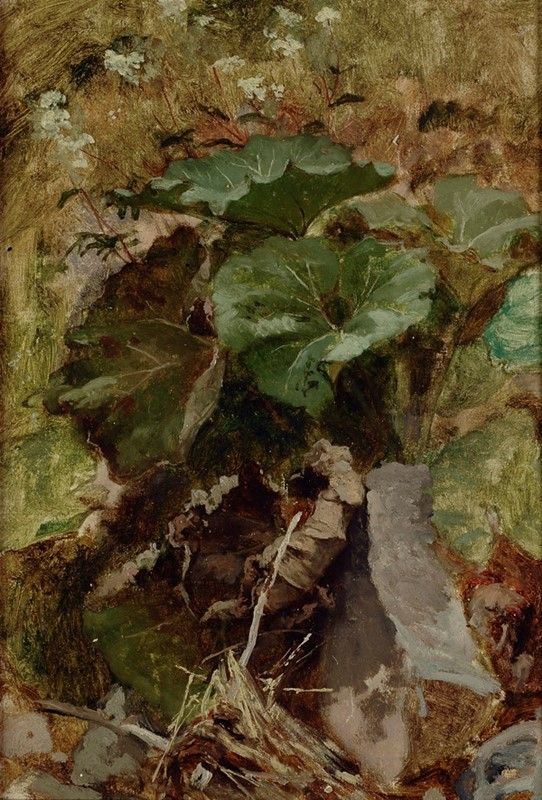 Francesco Paolo Michetti - Vegetazione