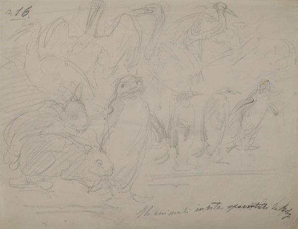 Gino Piccioni - Gli Animali, N.16