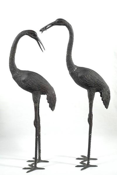 Cicogne