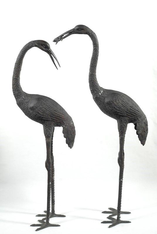 Cicogne