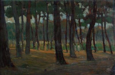 Pineta