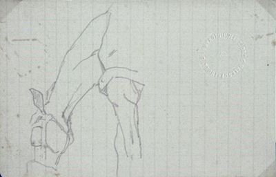 Cavallo