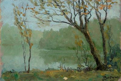 Paesaggio Fluviale con Alberi
