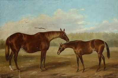 Cavallo e Puledro