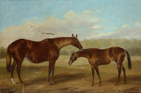 Thomas John Scott - Cavallo e puledro
