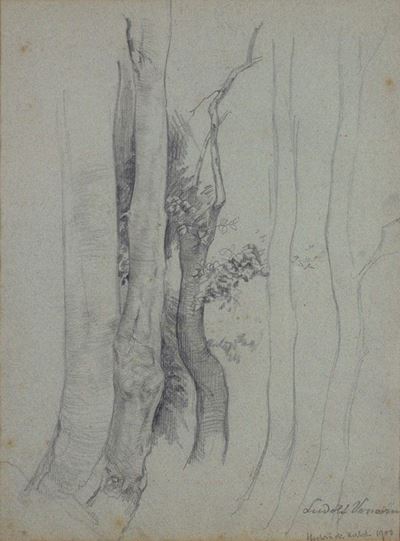 Alberi
