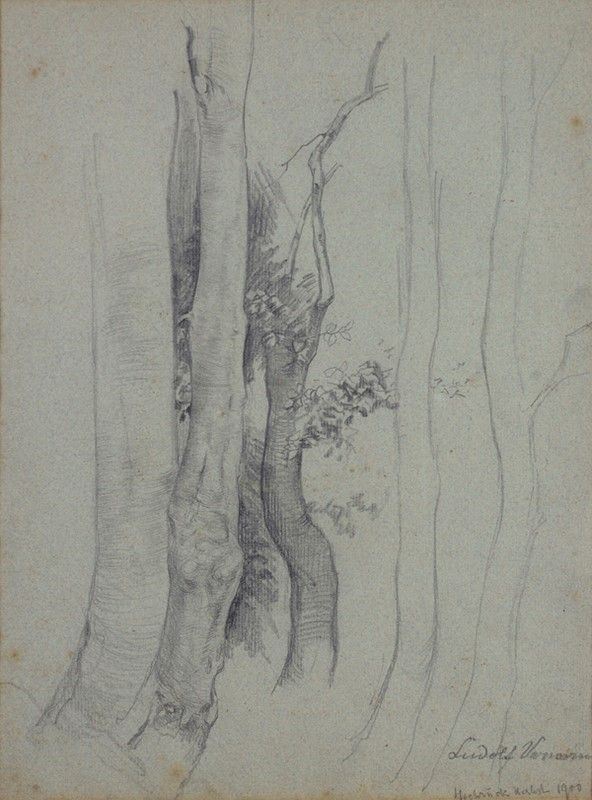 Attr. a Enrico Ludolf Verworner - Alberi