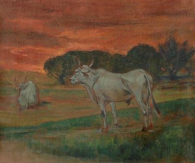 Buoi al Tramonto