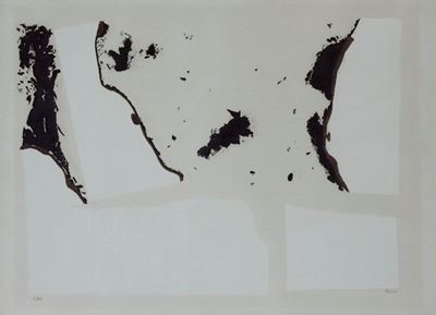 Combustione