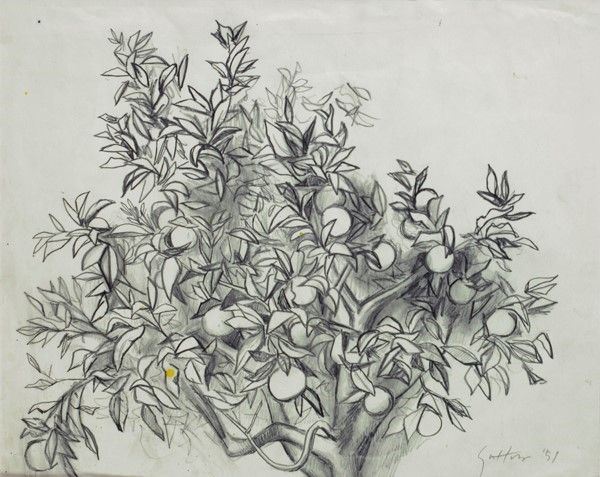 Renato Guttuso : Albero di Arancio  (1951)  - Matita su carta - Auction Autori dell'800-900, Moderni e Contemporanei, Grafica ed Edizioni - Galleria Pananti Casa d'Aste