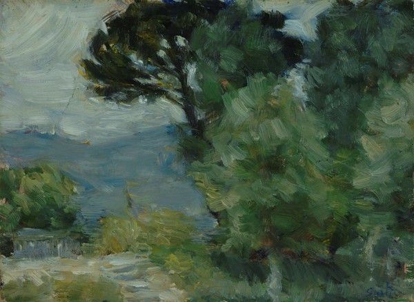 Nelusco Sarti - Paesaggio