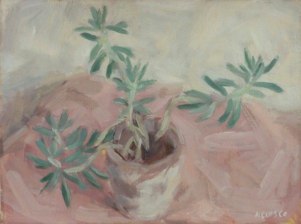 Sarti Nelusco : Piante  (1967)  - Olio su cartone telato - Auction Autori dell'800-900, Moderni e Contemporanei, Grafica ed Edizioni - Galleria Pananti Casa d'Aste