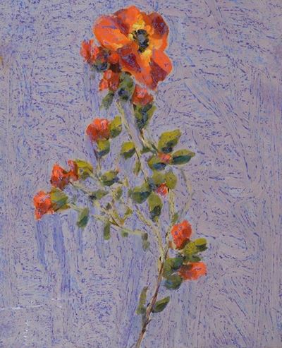 Fiori