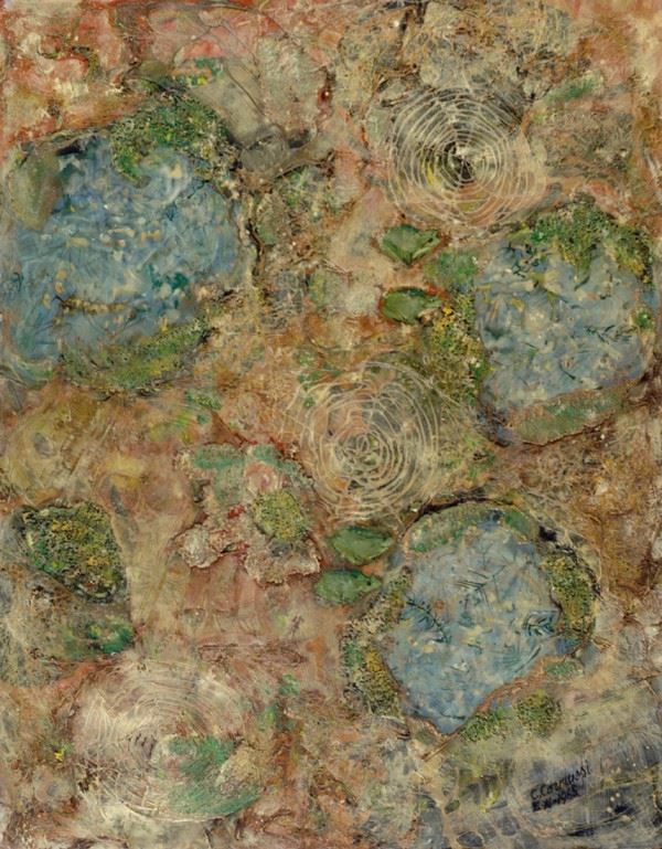 Corrado Carmassi - The puddles