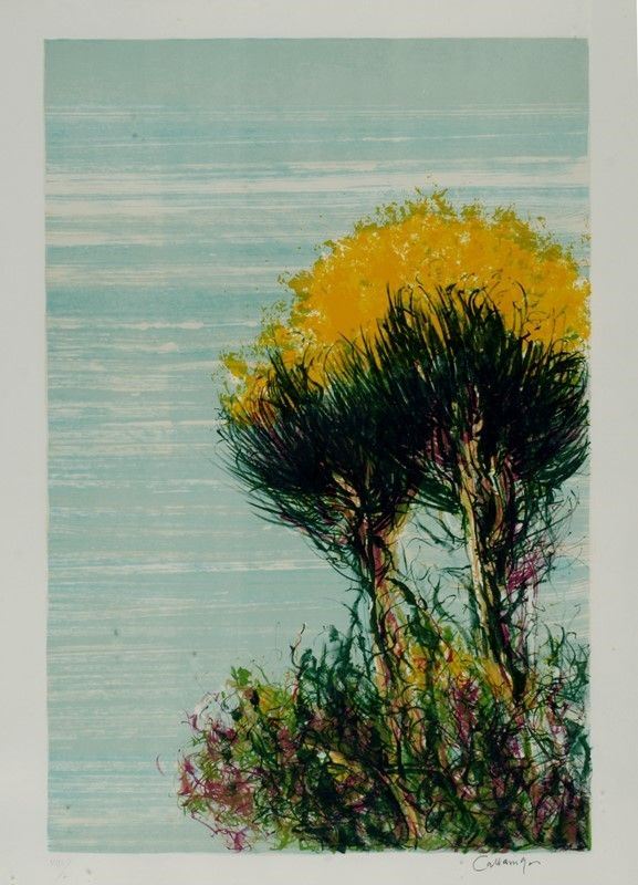 Giancarlo Cazzaniga - Albero
