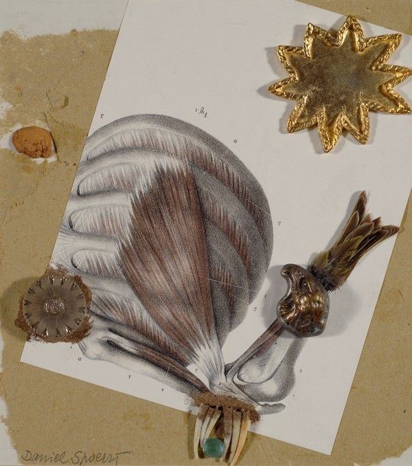 Daniel Spoerri : Senza titolo  (1999)  - Tecnica mista e applicazioni su cartone - Auction Autori Moderni e Contemporanei, Grafica ed Edizioni - Galleria Pananti Casa d'Aste