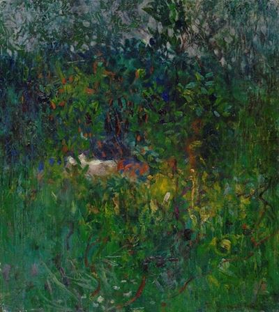 Paesaggio nel Bosco