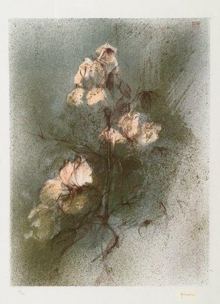 Giuseppe Ajmone - Rose