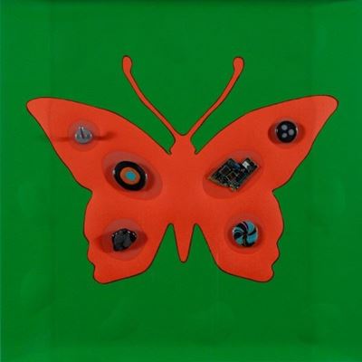 Butterfly Effect