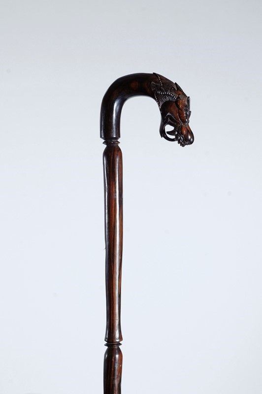 Bastone con impugnatura a testa di drago  - Auction STORART: Dipinti, oggetti, arredi dal XVII al XX sec. - II - Galleria Pananti Casa d'Aste
