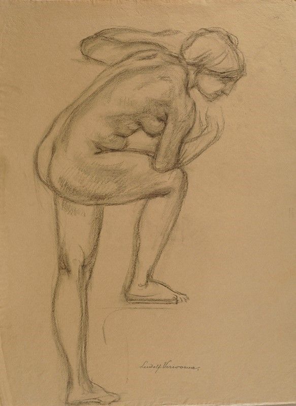 Attr. a Enrico Ludolf Verworner - Studi di Nudo Femminile