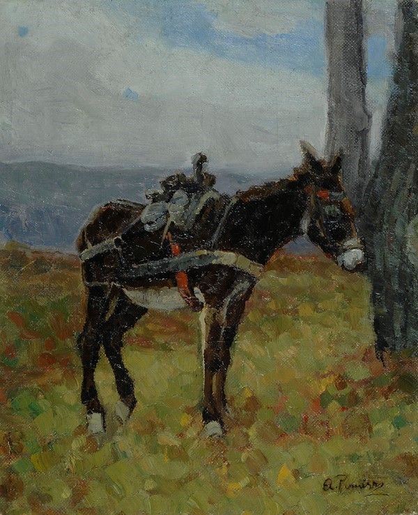 Arturo Panizzi - Ciuchino