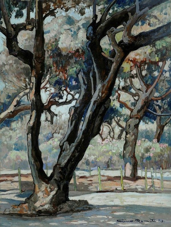 Gino Romiti - Giardini