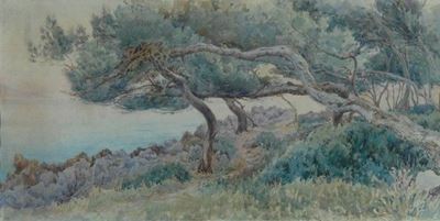 Veduta Costiera
