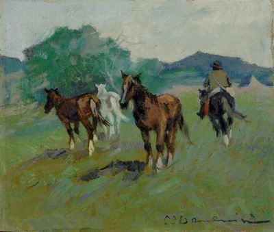 Buttero e Cavalli