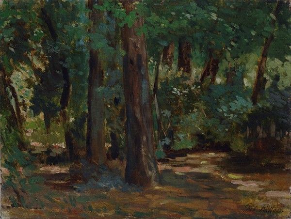 Giovanni Fattori - Sole tra gli Alberi alle Cascine
