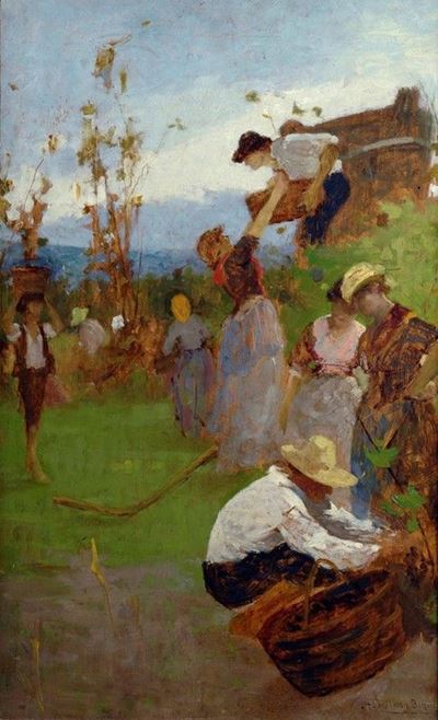 Vendemmia