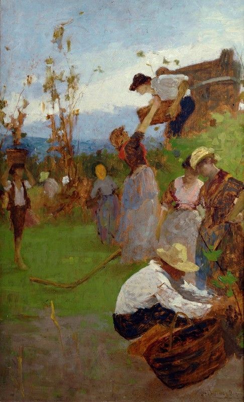 Angelo Dall'oca Bianca - Vendemmia