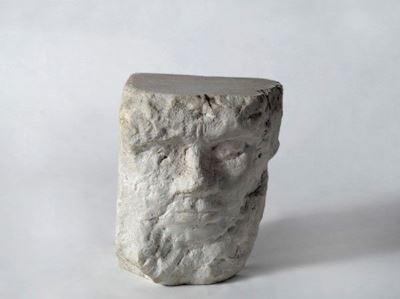 Testa