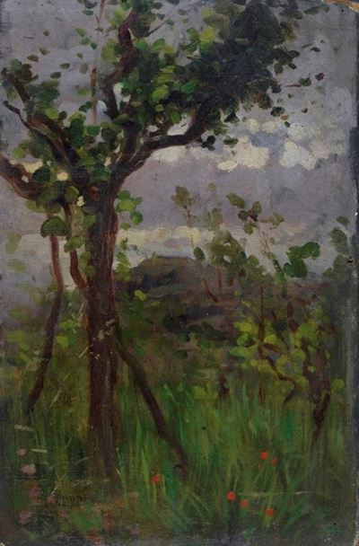 Alberi