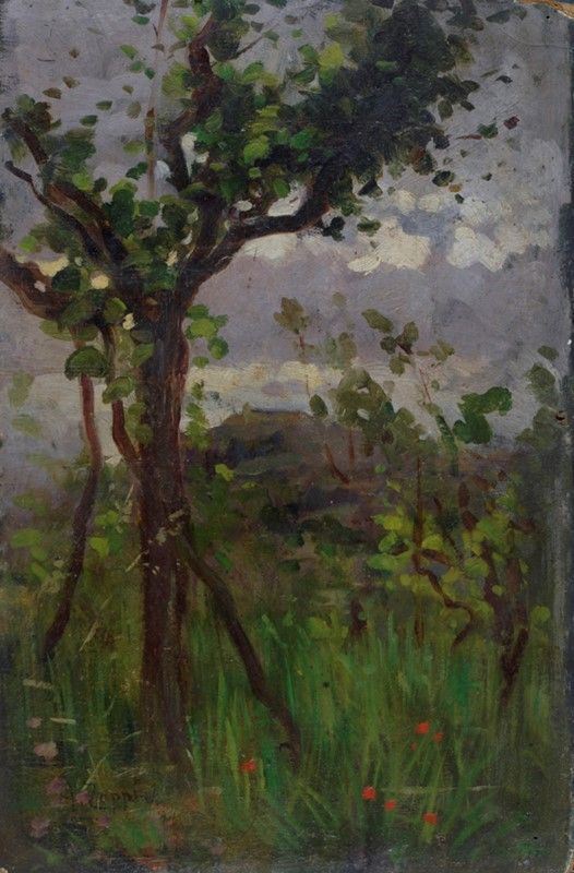 Antonio Zoppi - Alberi