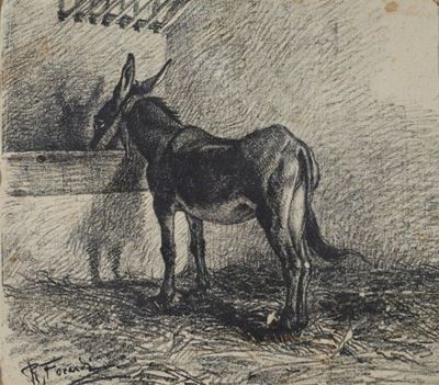 Asinello