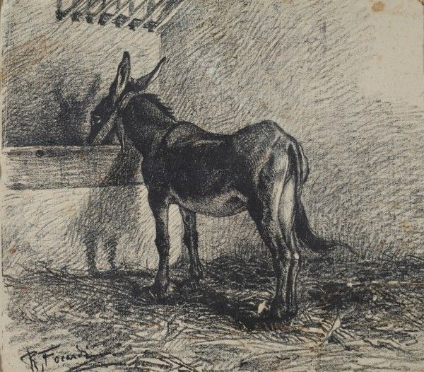 Ruggero Focardi - Asinello