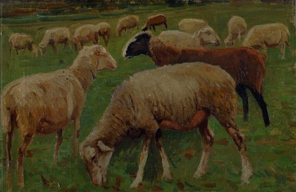 Ruggero Panerai : Pecore al pascolo  - Olio su tela - Asta Autori del XIX e XX sec. - I - Galleria Pananti Casa d'Aste