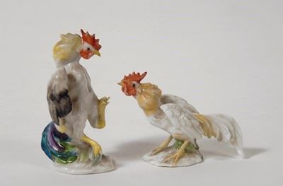 Gallo e Gallina