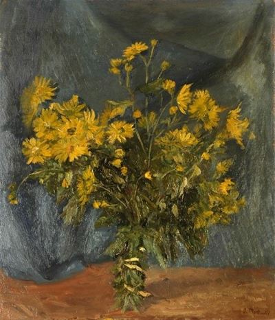 Fiori di Campo