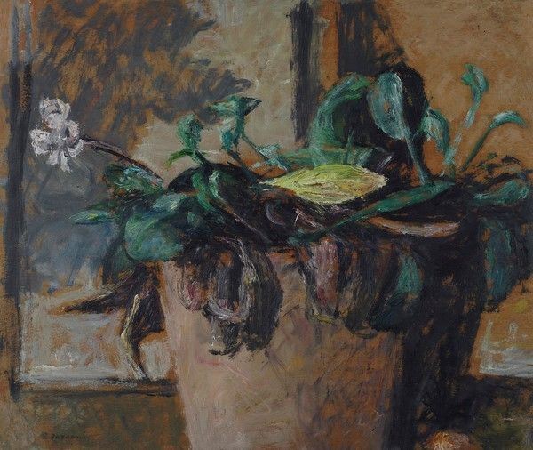 Enzo Faraoni - Fiori
