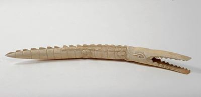 Coccodrillo