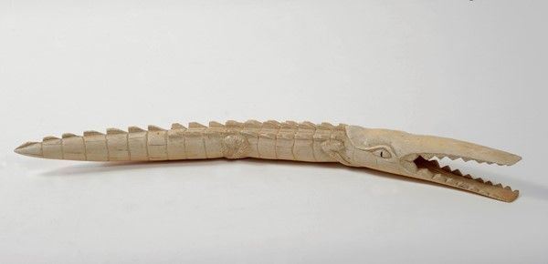 Coccodrillo