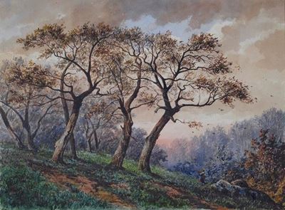Paesaggio