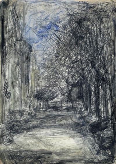 Strada con Alberi